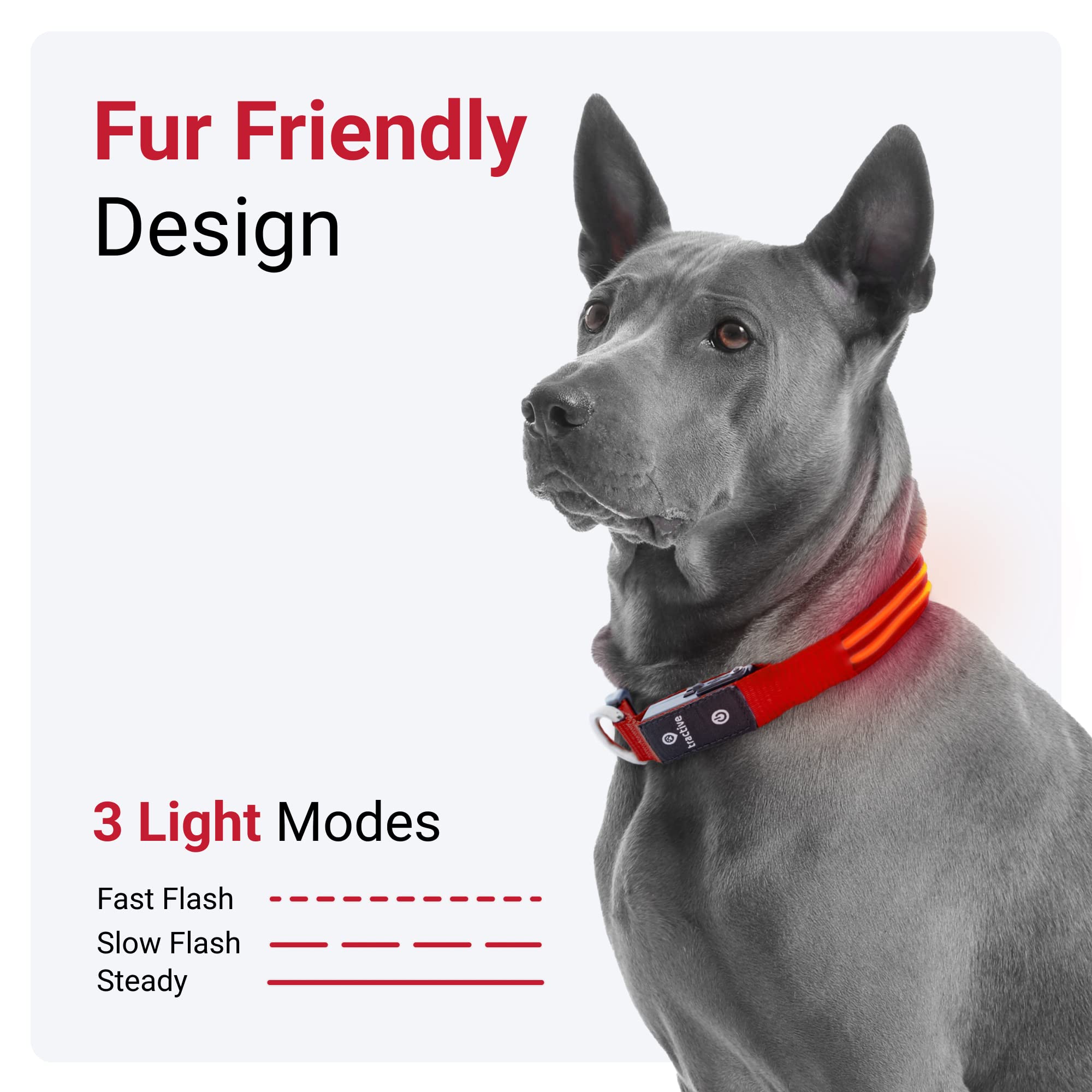 Foto 4 pulgar | Collar para Perro con Luz Led Roja USB Recargable Resistente al Agua - Venta Internacional