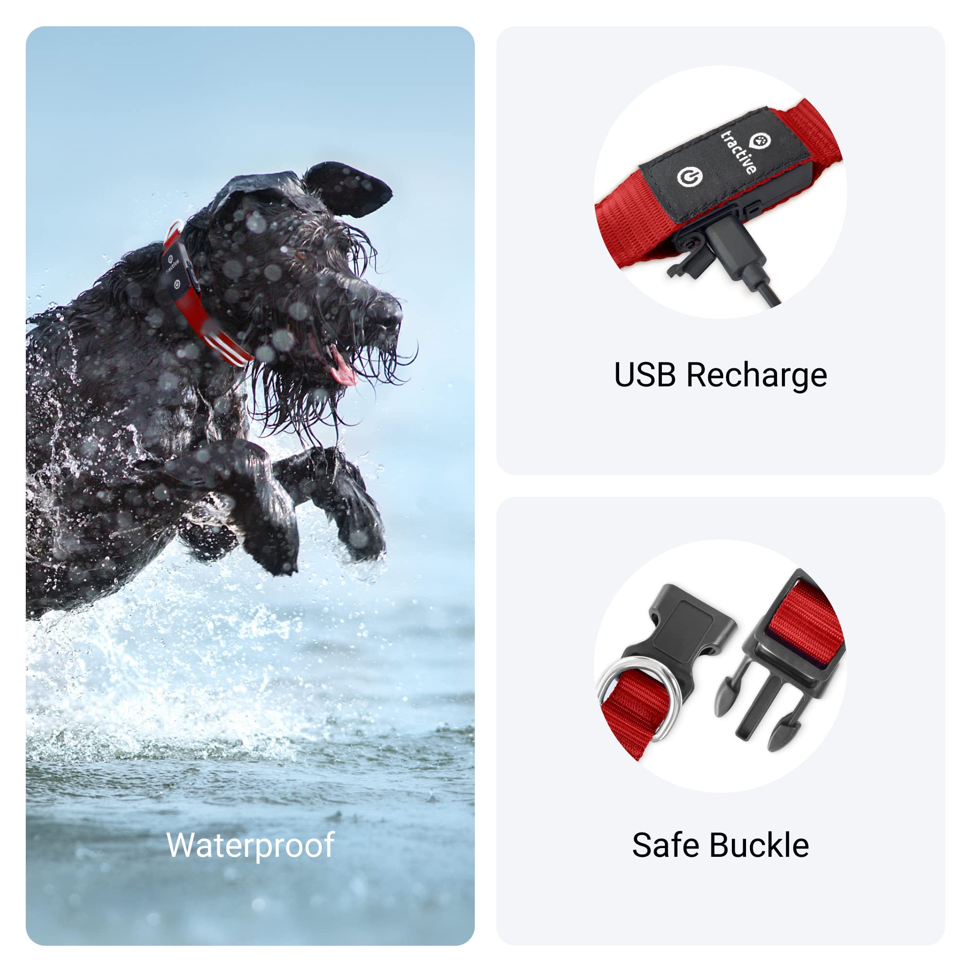 Foto 5 pulgar | Collar para Perro con Luz Led Roja USB Recargable Resistente al Agua - Venta Internacional