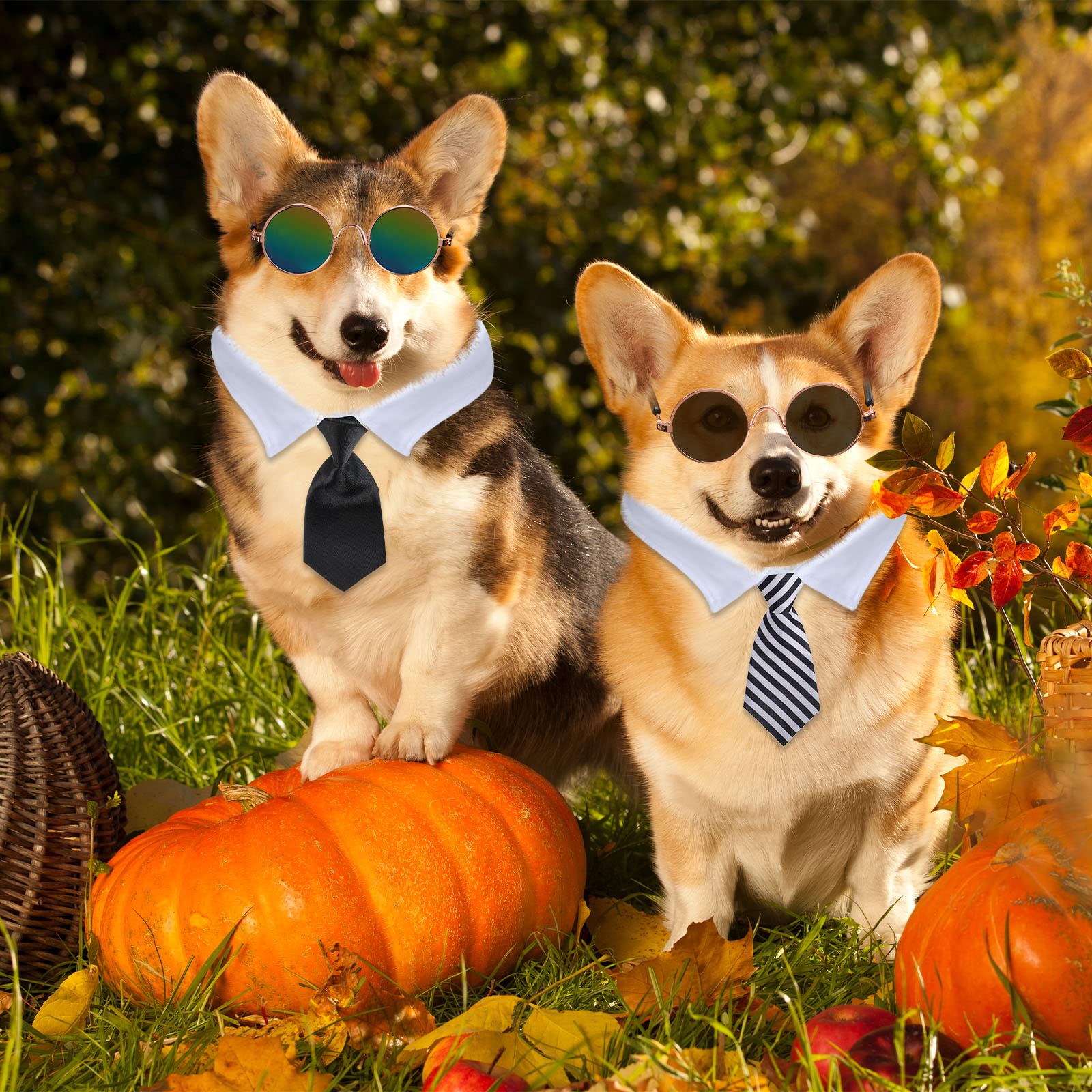 Foto 8 pulgar | Set De Gafas De Sol Para Disfraces De Halloween Con Corbata De Perro, 8 Unidades - Venta Internacional.