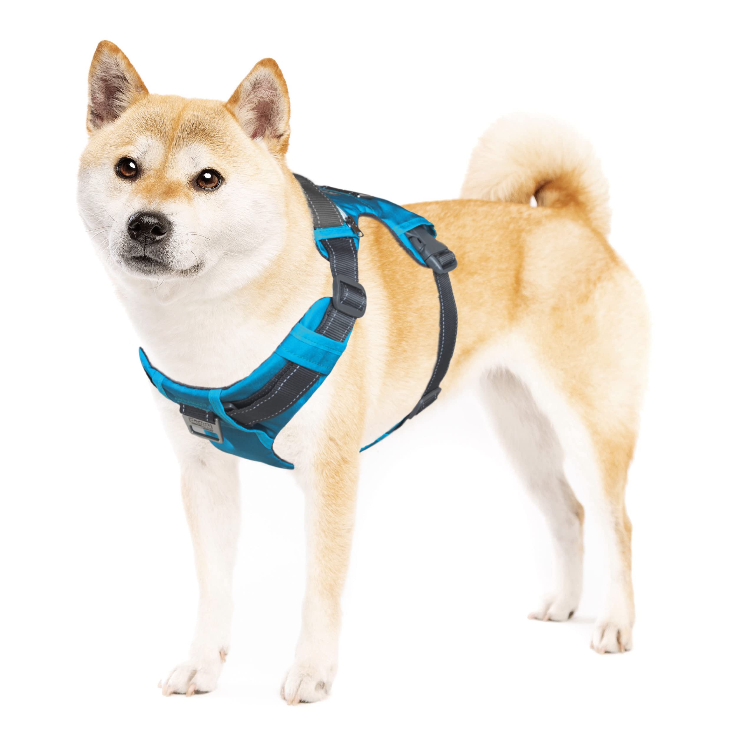Arnés Para Perros Outward Hound Boulder Adventure Turquesa M - Venta Internacional.