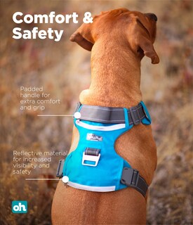 Foto 4 | Arnés Para Perros Outward Hound Boulder Adventure Turquesa M - Venta Internacional.