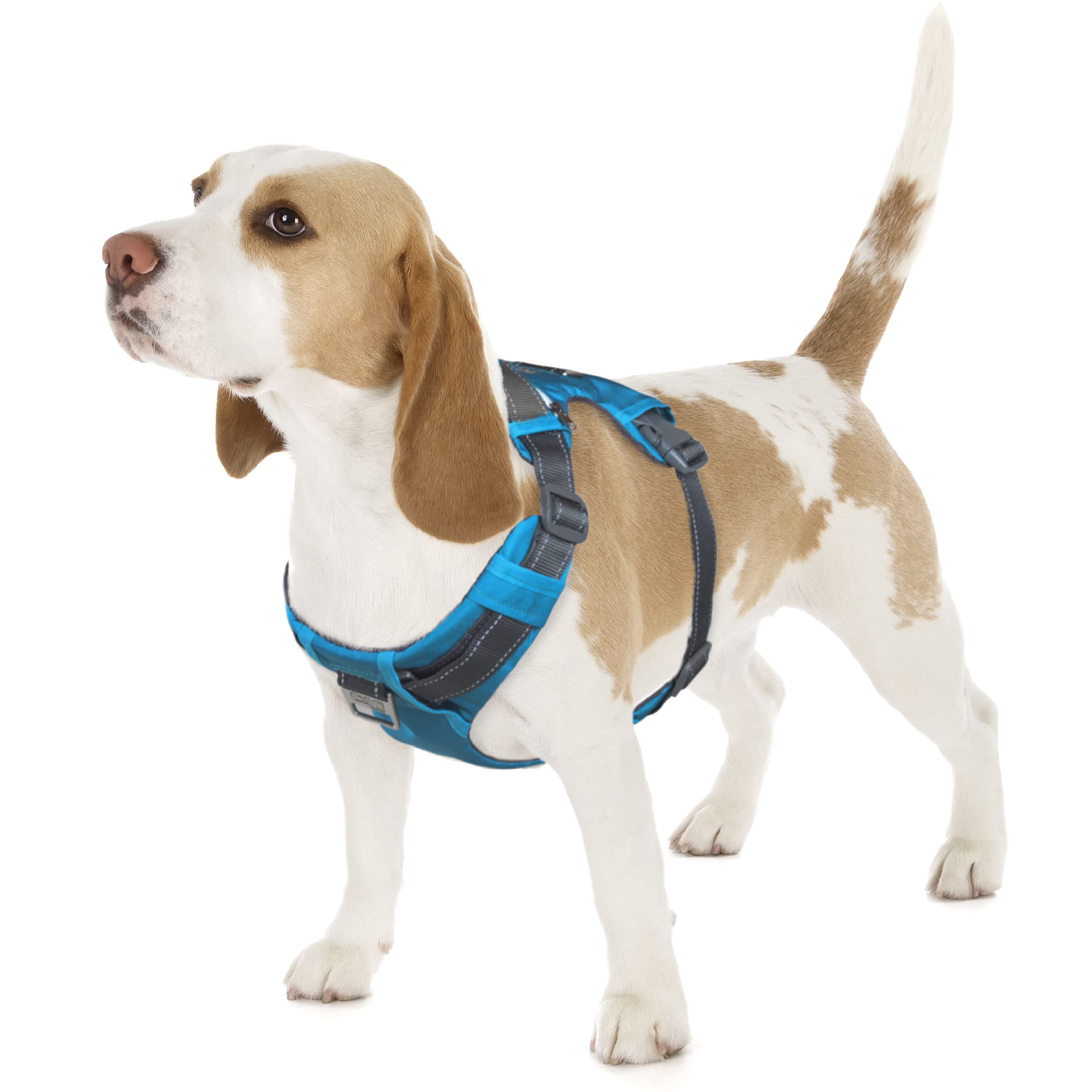 Arnés Para Perros Outward Hound Boulder Adventure Turquesa S - Venta Internacional.
