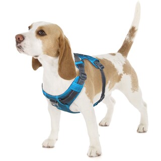 Foto 1 | Arnés Para Perros Outward Hound Boulder Adventure Turquesa S - Venta Internacional.