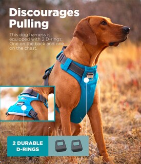 Foto 3 | Arnés Para Perros Outward Hound Boulder Adventure Turquesa S - Venta Internacional.