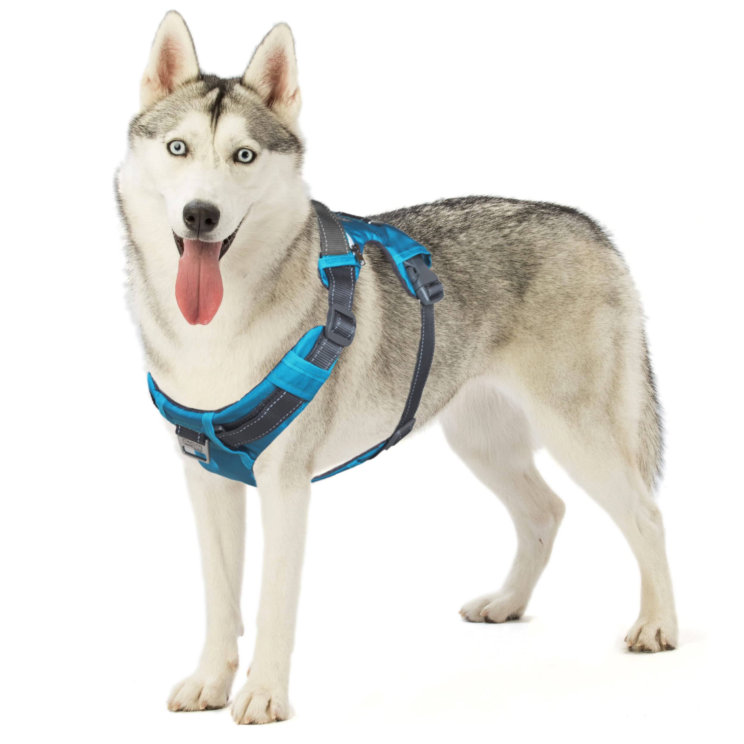 Arnés Para Perros Outward Hound Boulder Adventure Turquesa L - Venta Internacional.