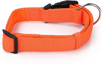 Foto 5 | Collar Para Perros Huoguo Sencillo Y Práctico Para Perros Grandes Y Medianos - Venta Internacional.