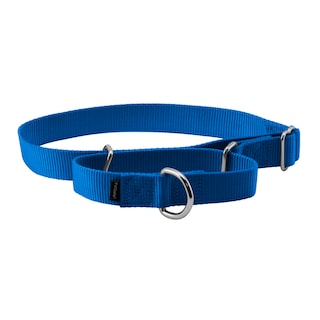 Foto 1 | Collar Martingale Petsafe Azul Real Talla L Para Perros - Venta Internacional.