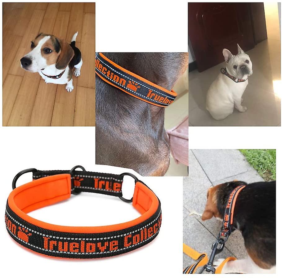 Foto 3 pulgar | Collar De Nailon Sin Tirones Para Perros Con Rayas Reflectantes Huoguo - Venta Internacional.