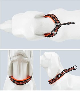 Foto 3 | Collar De Nailon Sin Tirones Para Perros Con Rayas Reflectantes Huoguo - Venta Internacional.