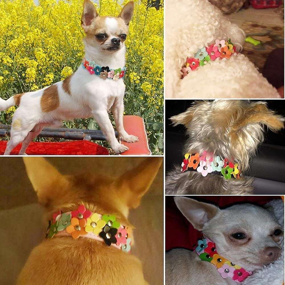 Foto 5 pulgar | Collar Para Perro Huoguo Fashion Shop, Piel Sintética, Flor Colorida - Venta Internacional.