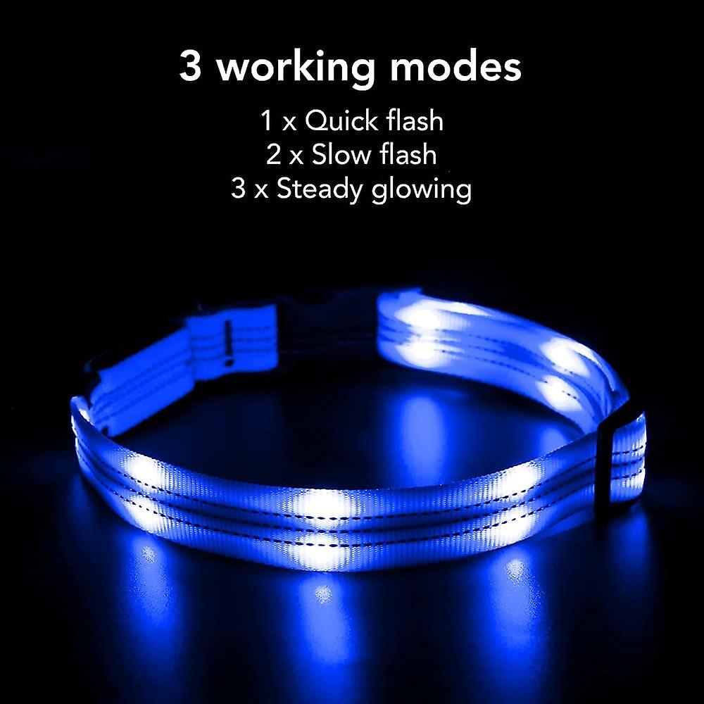 Foto 5 pulgar | Collar Led Para Perros Huoguo Usb Recargable A Prueba De Agua - Venta Internacional.
