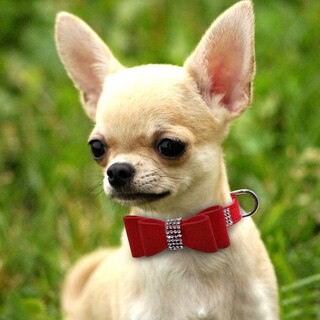 Foto 2 | Conjunto De Collar Y Correa Para Perro, Piel De Gamuza Y Strass Bowknot, Color Rojo - Venta Internacional.