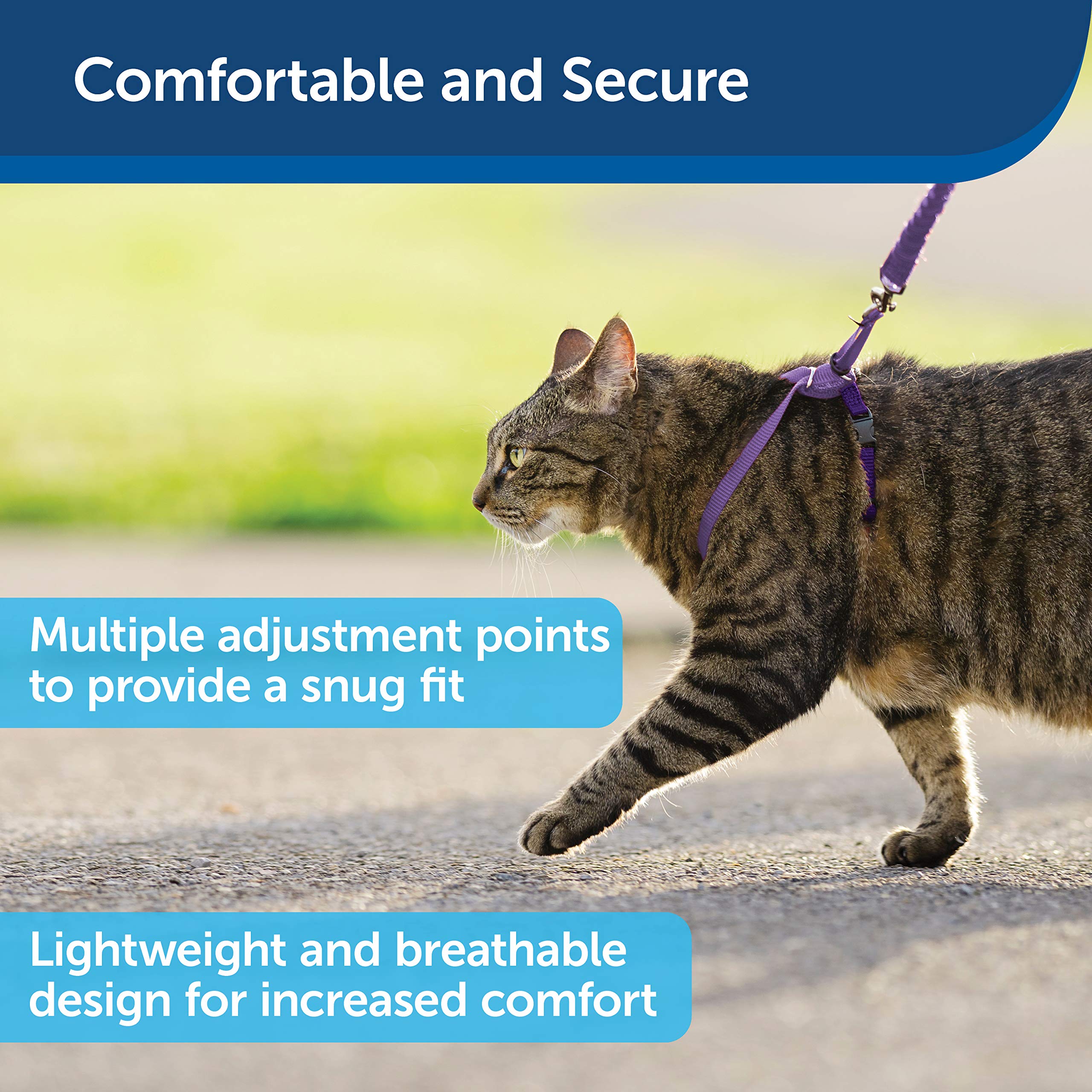 Foto 4 pulgar | Arnés Y Correa Elástica Para Gatos Petsafe Come With Me Kitty - Venta Internacional.