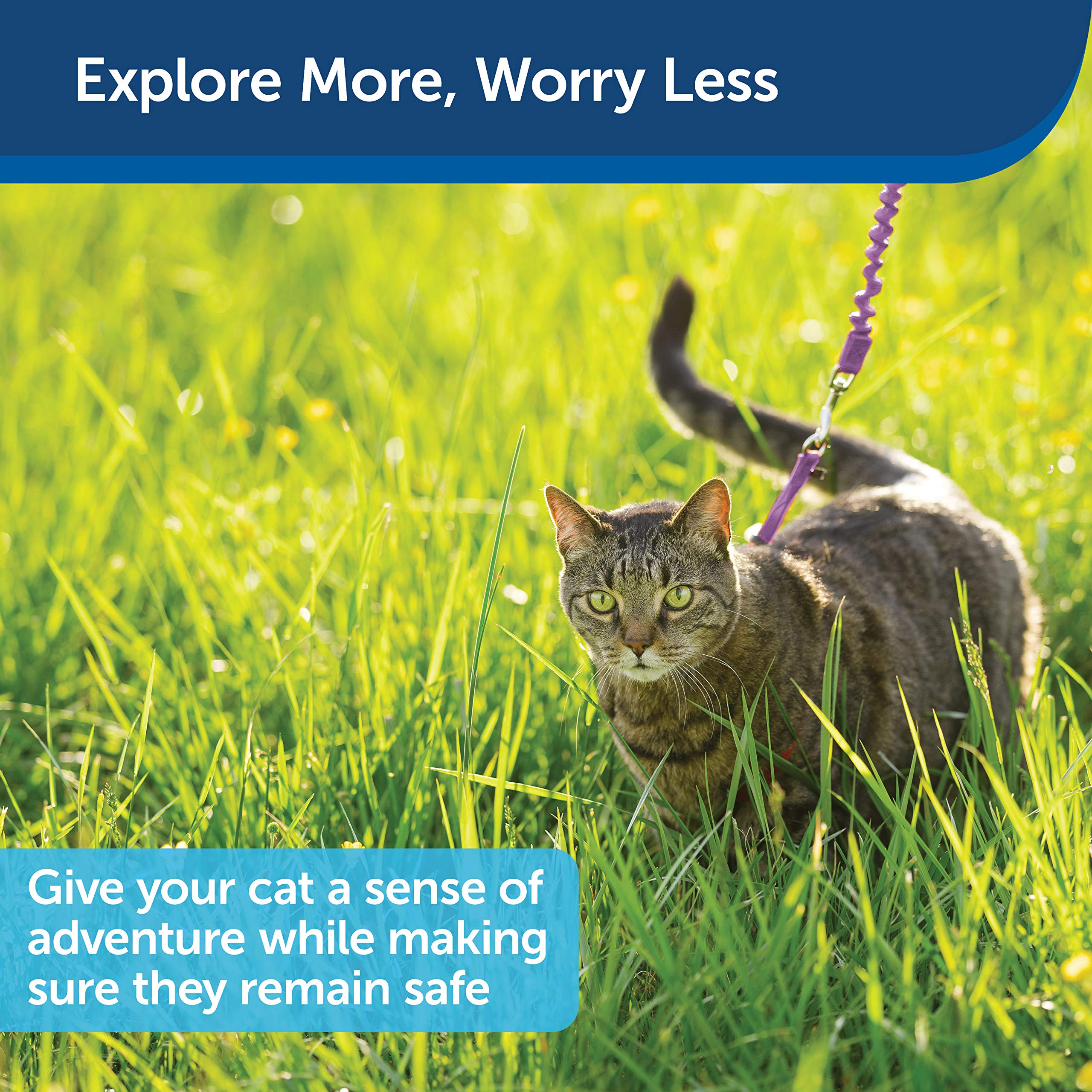 Foto 5 | Arnés Y Correa Elástica Para Gatos Petsafe Come With Me Kitty - Venta Internacional.