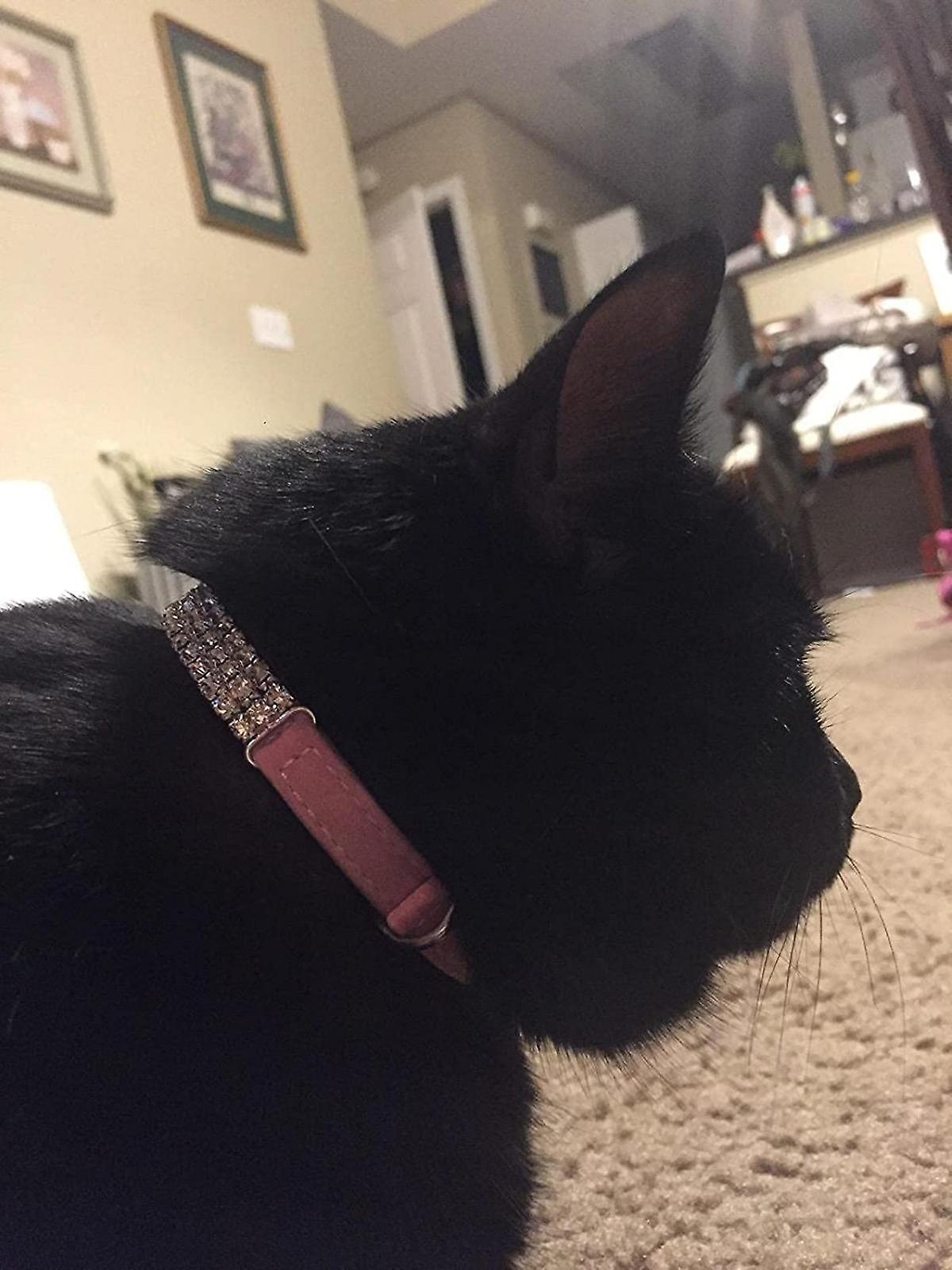 Foto 4 | Collar Huoguo, De Terciopelo Suave, Seguro Para Gatos, Ajustable, Brillante - Venta Internacional.