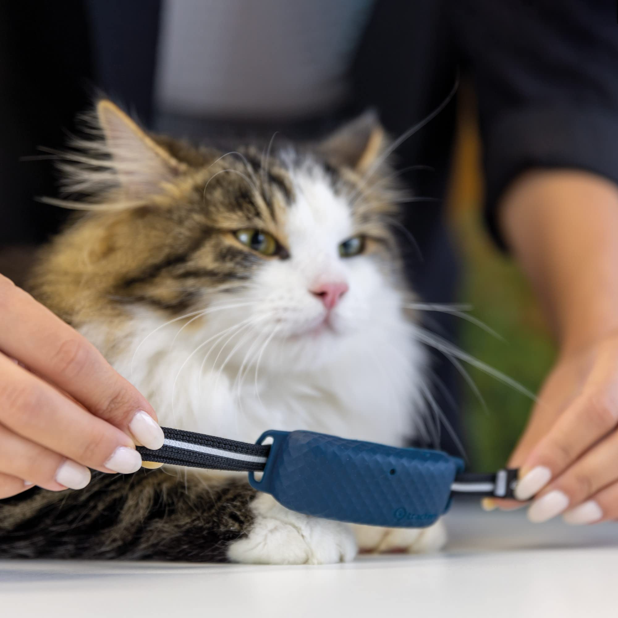Foto 4 | Collar De Fijación Tractive Gps Cat 4 X3 Para Gatos Midnight Bl - Venta Internacional.