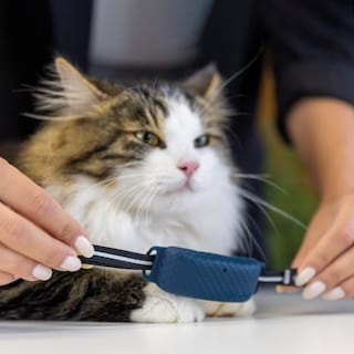 Foto 4 | Collar De Fijación Tractive Gps Cat 4 X3 Para Gatos Midnight Bl - Venta Internacional.