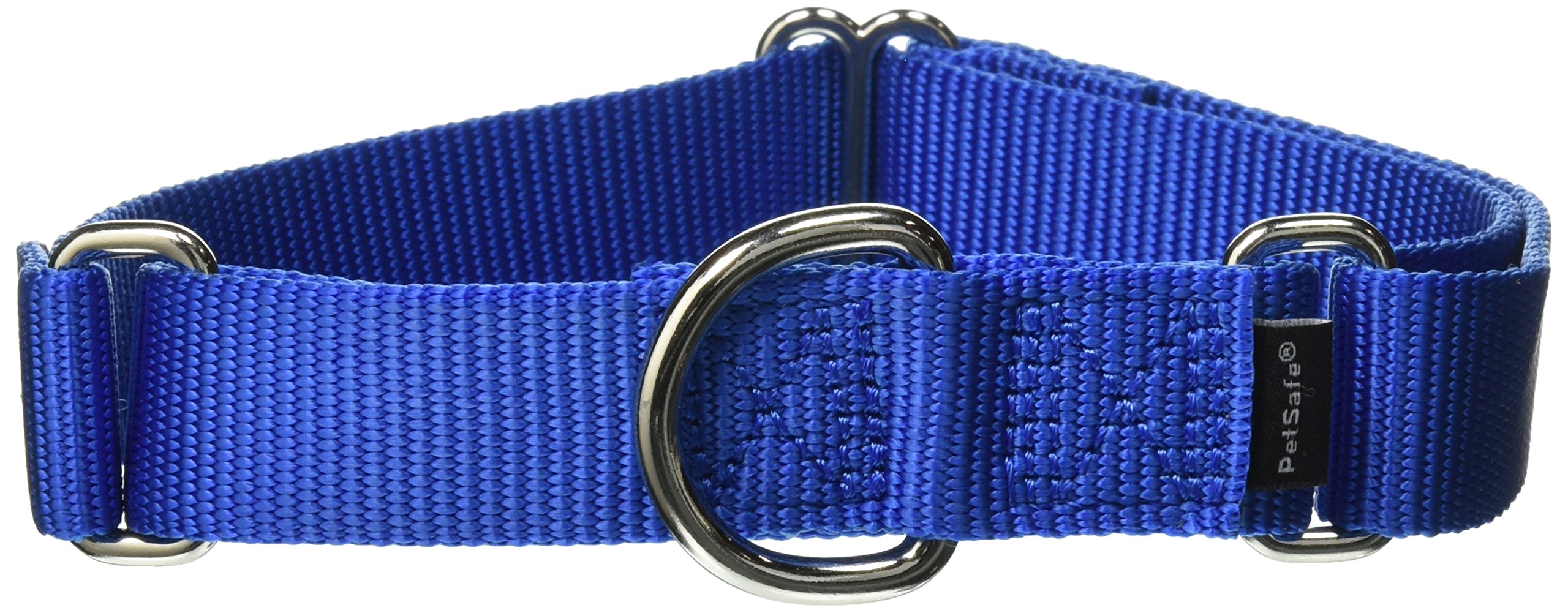 Collar Martingale Petsafe 1 Mediano Para Perro, Color Azul Real - Venta Internacional.