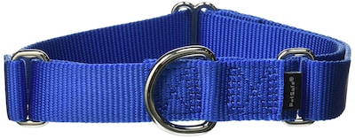 Foto 1 | Collar Martingale Petsafe 1 Mediano Para Perro, Color Azul Real - Venta Internacional.