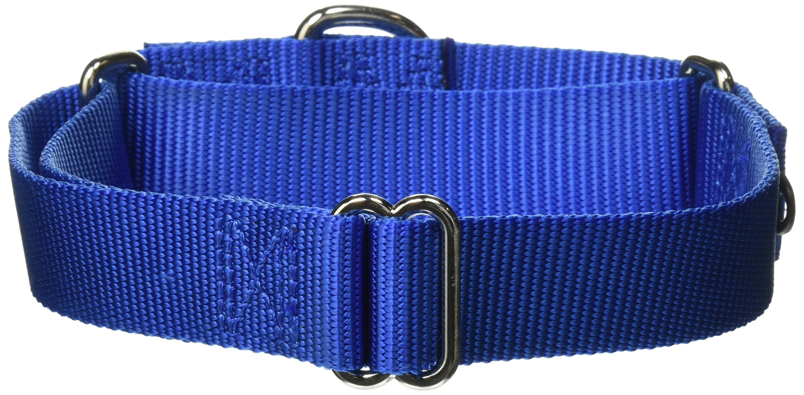 Foto 3 pulgar | Collar Martingale Petsafe 1 Mediano Para Perro, Color Azul Real - Venta Internacional.
