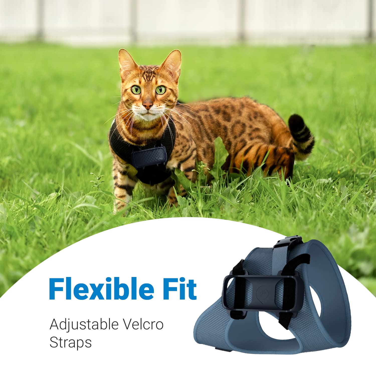Foto 4 pulgar | Arnés Gps Tractive Gps Cat 4 Para Gatos - Venta Internacional.