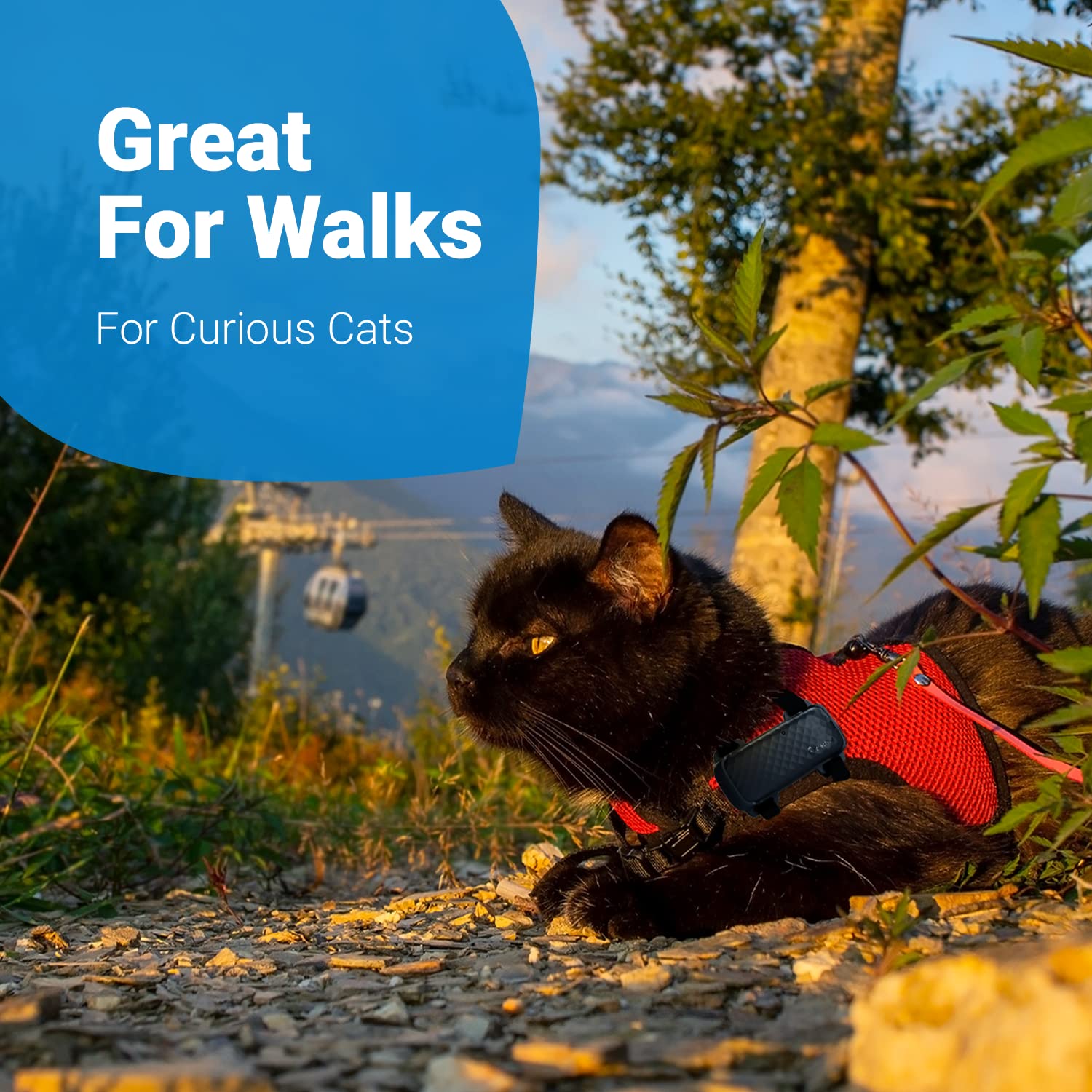 Foto 5 | Arnés Gps Tractive Gps Cat 4 Para Gatos - Venta Internacional.