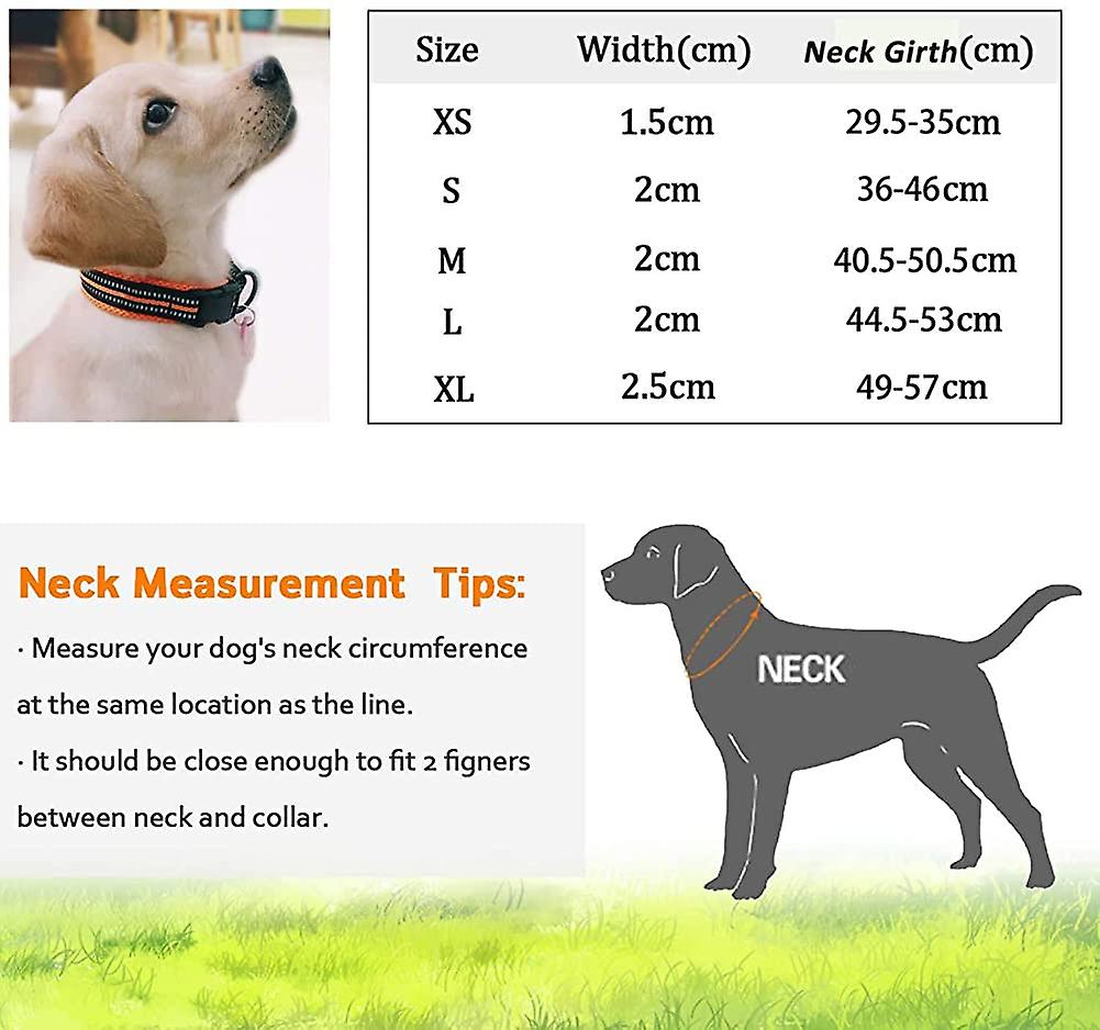Collar Para Perro Huoguo Classic, Ajustable, Reflectante, Acolchado - Venta Internacional.