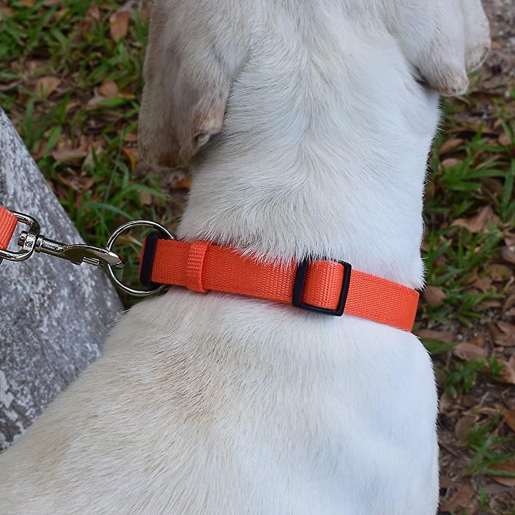 Foto 3 | Collar Para Perros Huoguo Sencillo Y Práctico Para Perros Grandes Y Medianos - Venta Internacional.