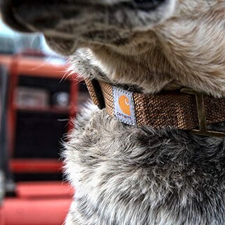 Foto 4 | Collar Para Perro Carhartt Tradesman Negro/latón Cepillado M-l - Venta Internacional.