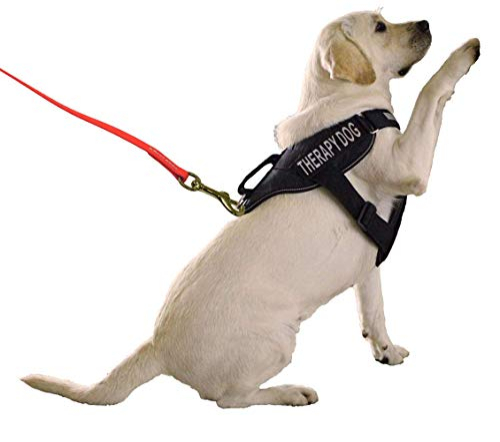 Foto 8 pulgar | Correa Para Perros Viper Biothane Working Tracking Leash Long Line - Venta Internacional.