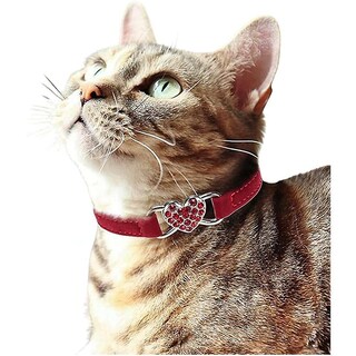 Foto 4 | Collar Para Gatos Huoguo Heart Con Cinturón De Seguridad Y Campana, Color Caqui - Venta Internacional.
