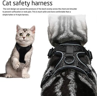 Foto 1 | Arnés Para Gatos Huoguo Correa De Poliéster Transpirable A Prueba De Fugas - Venta Internacional.