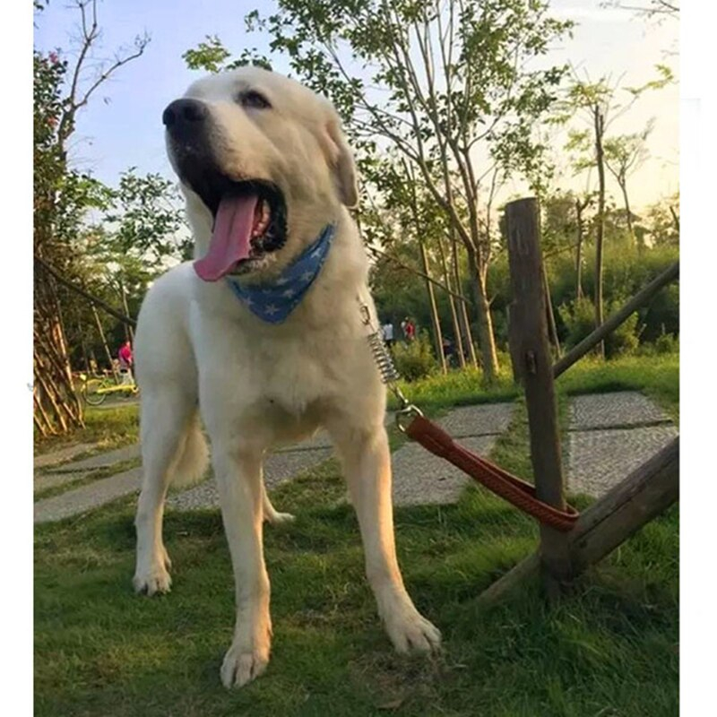 Foto 4 pulgar | Correa De Cadena Corta Para Perros, A Prueba De Explosiones, De Piel Marrón Para Perros Grandes - Venta Internacional.