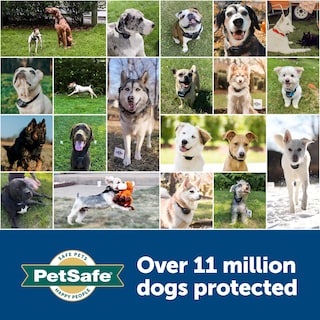 Foto 6 | Correa De Repuesto Petsafe 3/4 Para Collares Petsafe - Venta Internacional.