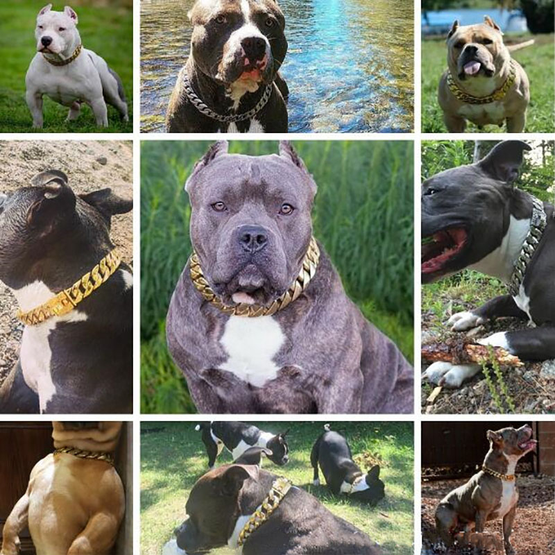 Foto 4 | Collar De Cadena Para Perros Sanlin Beans De Acero Inoxidable Para Perros Grandes - Venta Internacional.