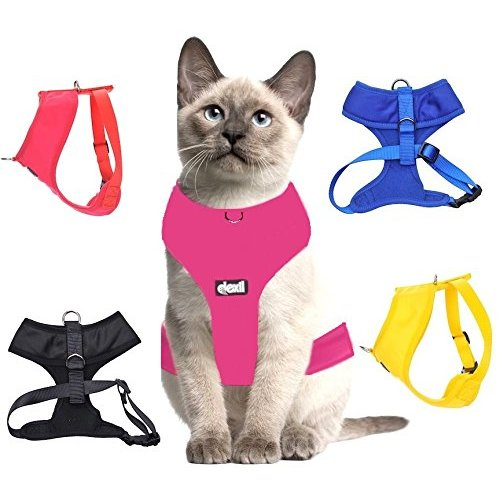 Arnés Para Gatos Sanlin Beans, Acolchado De Lujo, Resistente Al Agua, Azul - Venta Internacional.