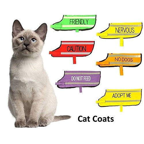 Foto 4 pulgar | Arnés Para Gatos Sanlin Beans, Acolchado De Lujo, Resistente Al Agua, Azul - Venta Internacional.