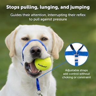 Foto 3 | Collar Para Perros Headcollar Petsafe Gentle Leader Sin Tirones, Plateado, Talla M - Venta Internacional.