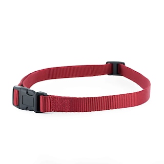 Foto 2 | Correa De Repuesto Petsafe 3/4 Para Collares Petsafe - Venta Internacional.