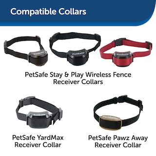 Foto 4 | Correa De Repuesto Petsafe 3/4 Para Collares Petsafe - Venta Internacional.
