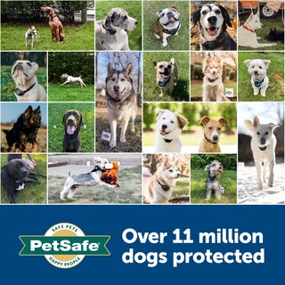Foto 6 | Correa De Repuesto Petsafe 3/4 Para Collares Petsafe - Venta Internacional.