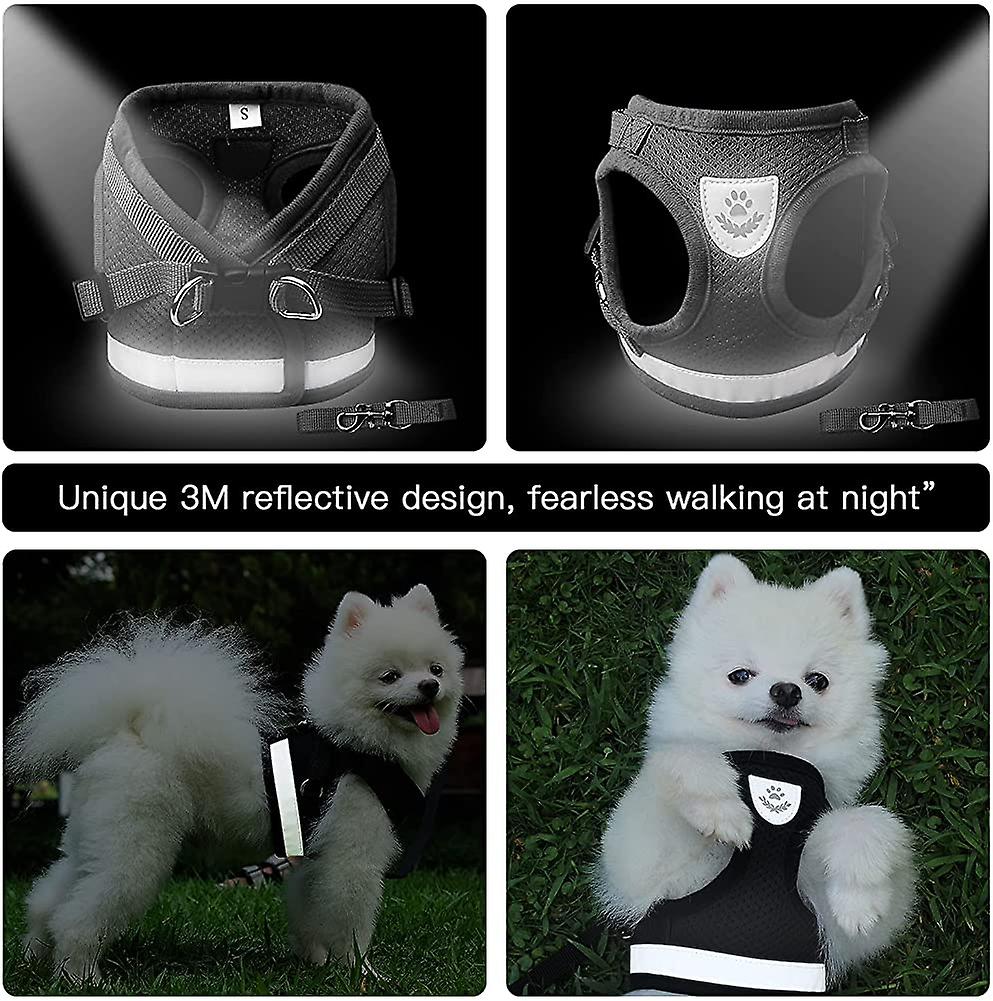 Foto 3 pulgar | Juego De Arneses Huoguo Para Cachorros Pequeños, Gatos Y Gatitos - Venta Internacional.