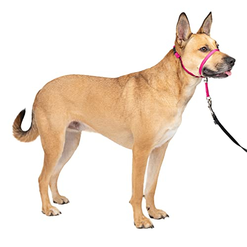 Collar De Cabeza Petsafe Gentle Leader No-pull Para Perro De Tamaño Mediano - Venta Internacional.