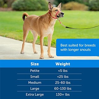 Foto 6 | Collar De Cabeza Petsafe Gentle Leader No-pull Para Perro De Tamaño Mediano - Venta Internacional.