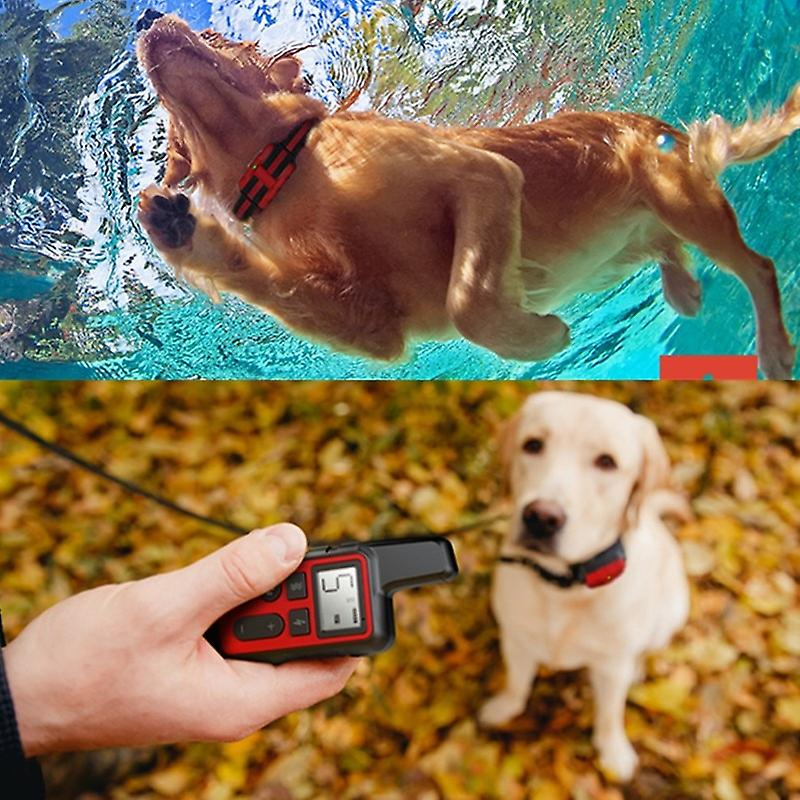 Foto 2 | Collar De Adiestramiento Sarah Impermeable De 500 M Con Mando A Distancia Para Perros - Venta Internacional.