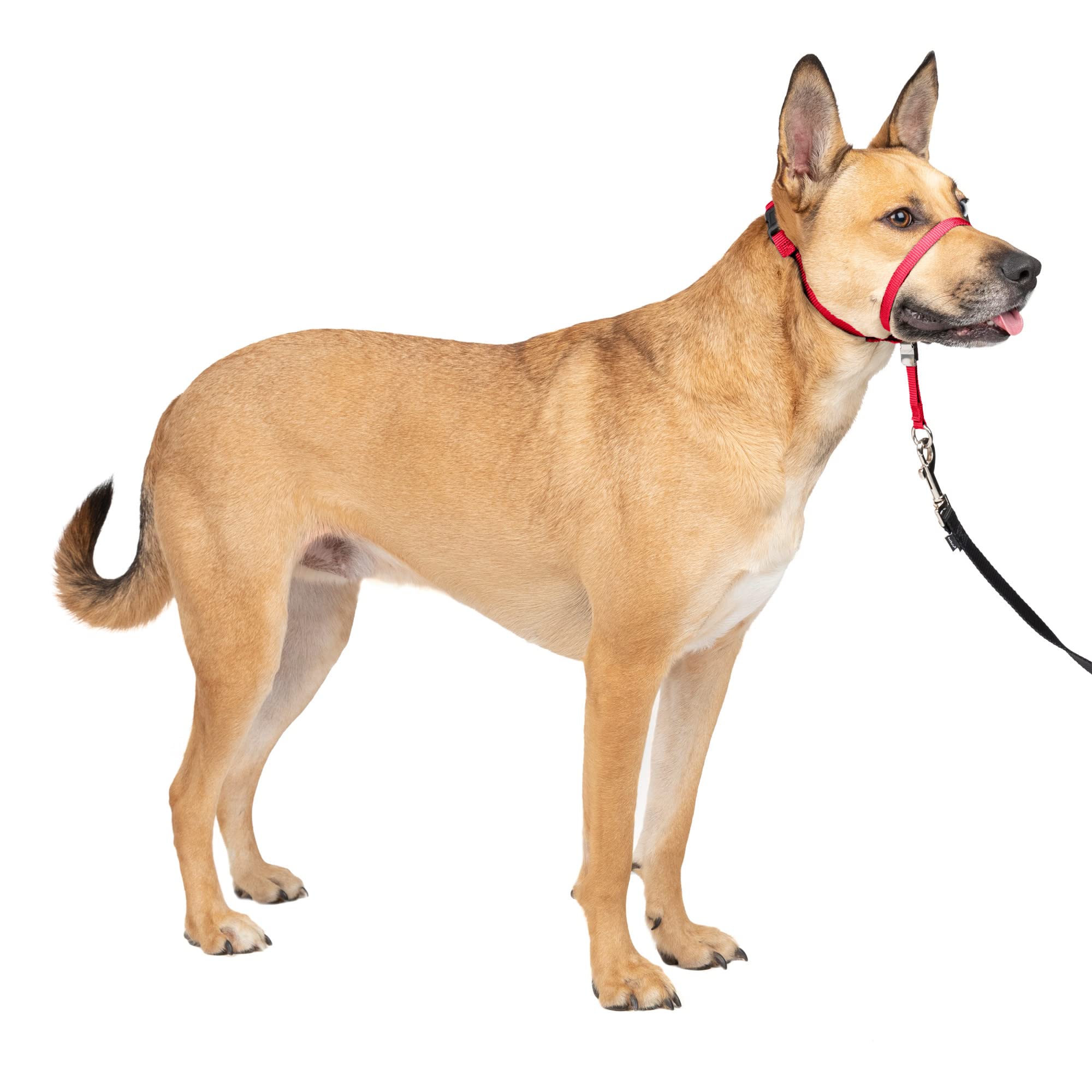 Collar De Cabeza Petsafe Gentle Leader No-pull Para Perro, Tamaño Mediano, Rojo - Venta Internacional.