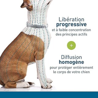 Foto 5 | Collar Antipulgas Y Garrapatas Para Perros Grandes (8 Kg) De Sarahe - Venta Internacional.