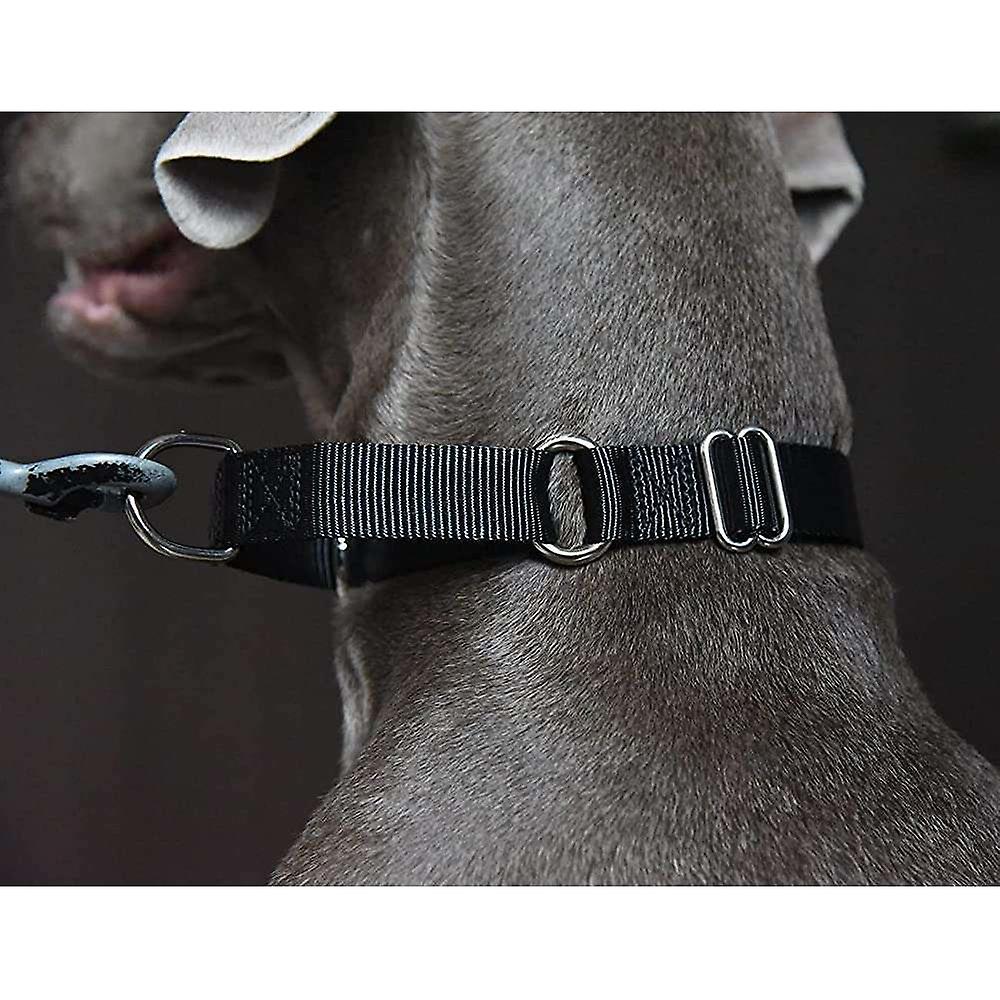 Foto 4 pulgar | Collar Martingale Para Perros Huoguo Heavy Duty, Azul, Para Perros Pequeños - Venta Internacional.