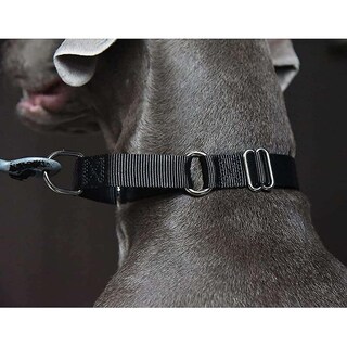 Foto 3 | Collar Martingale Para Perros Huoguo Heavy Duty, Azul, Para Perros Pequeños - Venta Internacional.