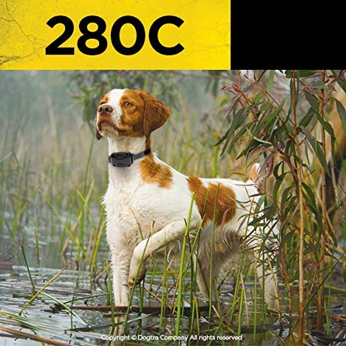 Foto 7 pulgar | Collar De Adiestramiento Remoto Para Perros Dogtra 280c, Impermeable, 1/2 Milla - Venta Internacional.